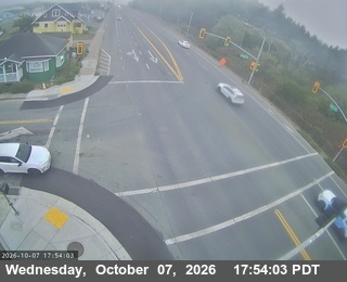 The road at Chestnut (South), live