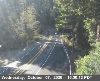 The road at South Of Cushing Creek - Looking North, live