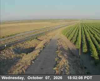 The road at Chrisman, live