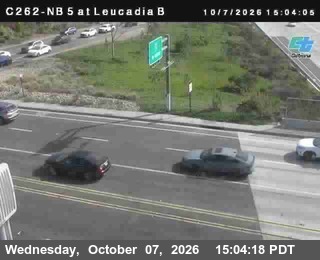 The road at NB at Leucadia Bottom, live