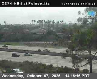 The road at NB at Poinsettia Lane, live