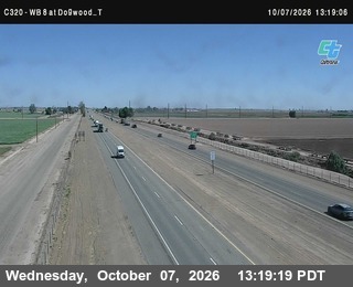 The road at Dogwood_T, live