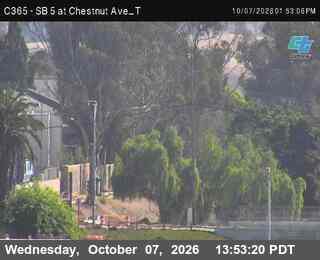 The road at SB at Chestnut Ave T, live
