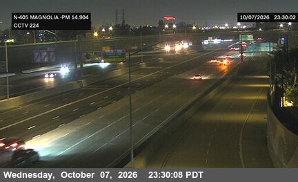 The road at South of Magnolia, live