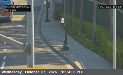 The road at SB Harbor, live