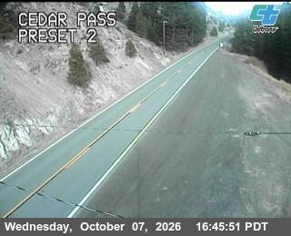 The road at Cedar Pass, live