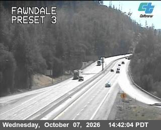 The road at Fawndale, live