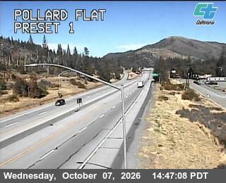 The road at Pollard Flat, live