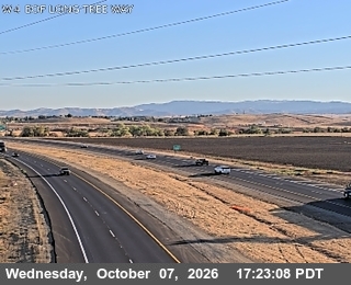 The road at At Eof Lone Tree Way, live