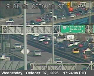 The road at At Octavia St, live