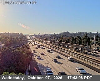 The road at Redwood Road, live
