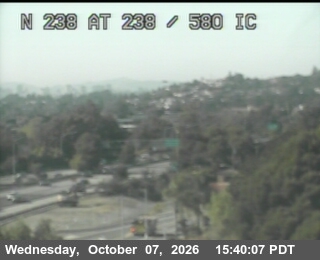 The road at SR-238, live