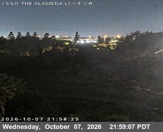The road at The Alameda, live