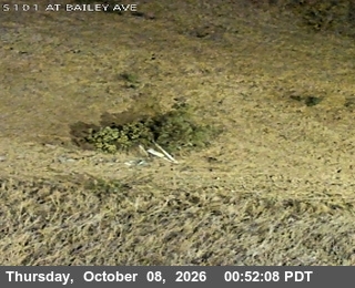 The road at S101 at Bailey Av, live