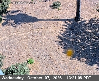 The road at Just North Of Berryessa Avenue, live
