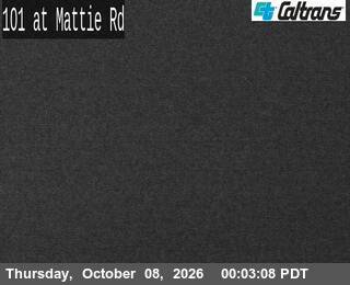 The road at Mattie Road, live