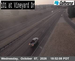 The road at Vineyard Drive, live