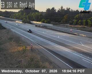 The road at At Reed Ave, live