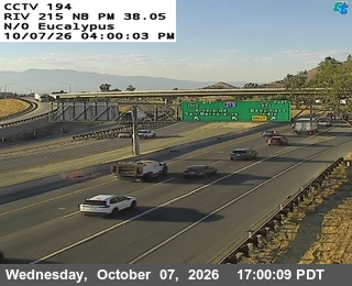 The road at N of Eucalyptus, live