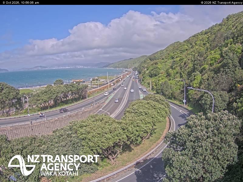 The road at SH2 Petone, live