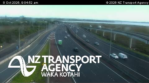 The road at SH16 Patiki Rd, live