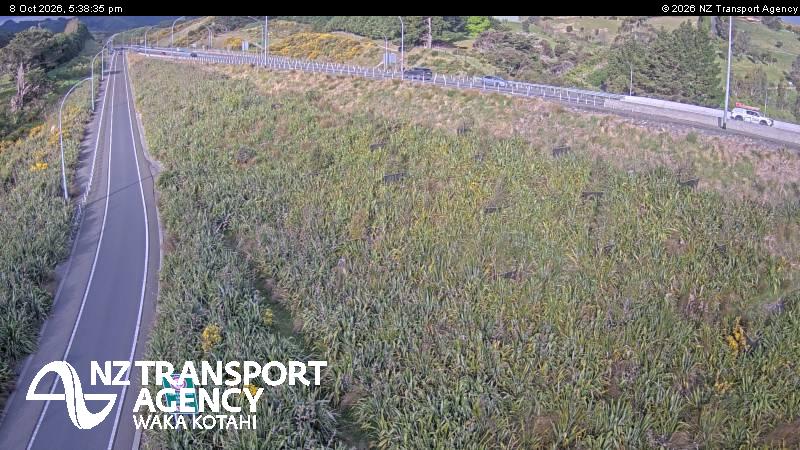 The road at SH1 Pauatahanui North, live