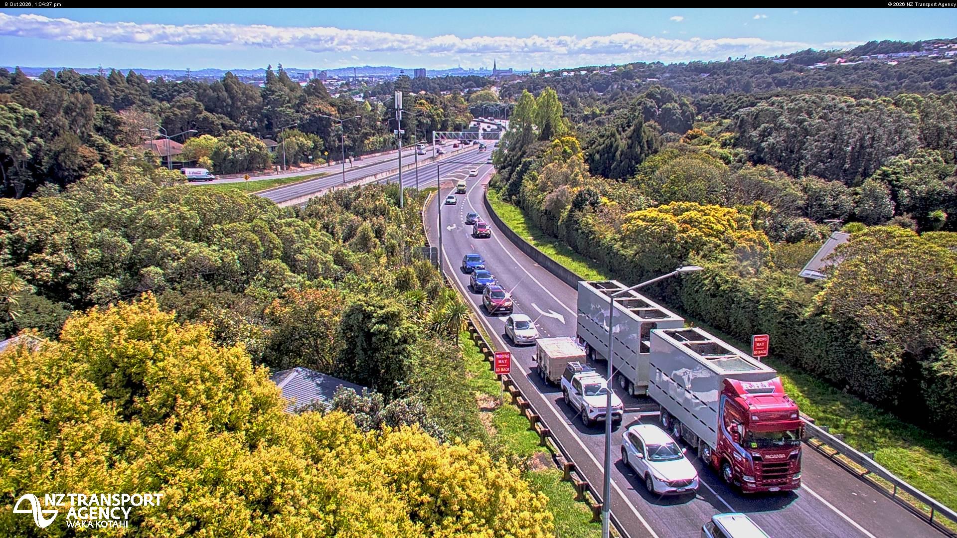 The road at SH1 Hill Road, live