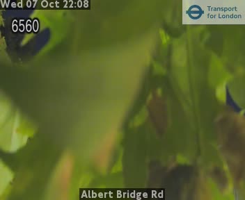 The road at Albert Bridge Rd, live